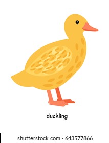 Duckling farm bird vector illustration