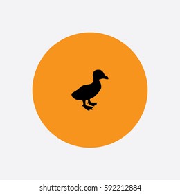 Duckling icon silhouette vector illustration

