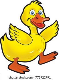Duckling on white background