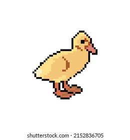 duckling pixel vector. animal cartoon illustration. black contour and white background