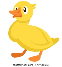 Duckling three quarter view. Farm animal in cartoon style.