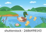 Ducklings in pond. Tiny yellow duckling with mother duck swimming in lake or river. Cartoon nature landscape, countryside wildlife nowaday vector scene
