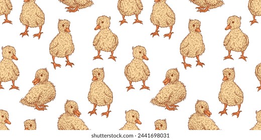 Patos, aves acuáticas, bebé animal, esponjoso, amarillo, lindo, pollitos, patrón sin fisuras, dibujos animados, fondo de vector dibujado a mano, papel, papel pintado