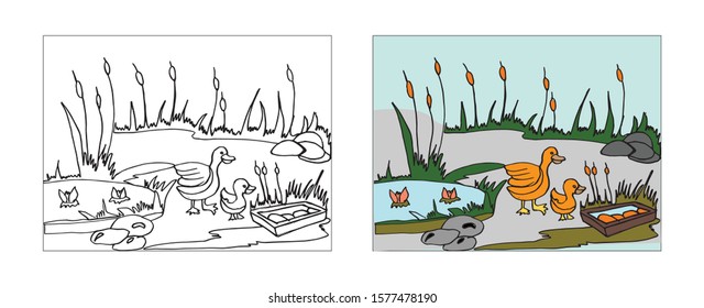 Ducks behind pond coloring book design with monochrome and colored versions. Freehand sketch for adult anti stress coloring book page with doodle elements. Vector Illustrations for kids book.
