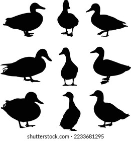 Ducks Black Vector Silhouette Art