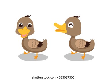 ducks cartoon character design 