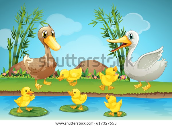 Ducks Ducklings Pond Stock Vector (Royalty Free) 617327555 | Shutterstock