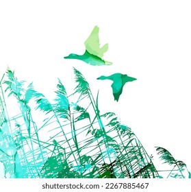Ducks fly over the river watercolor. Vector illustration
