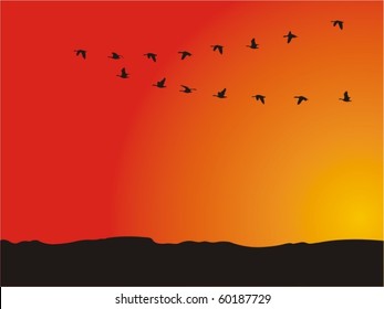 ducks flying away