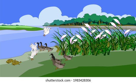 Ducks are flying in the bushes and some turtles in the distance - illustration