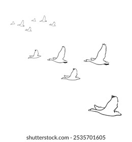 ducks are flying in a shoal
