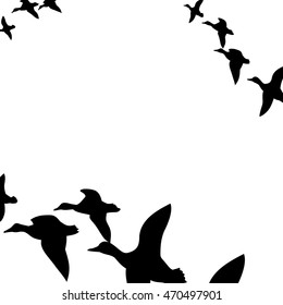 ducks flying South,vector illustration
