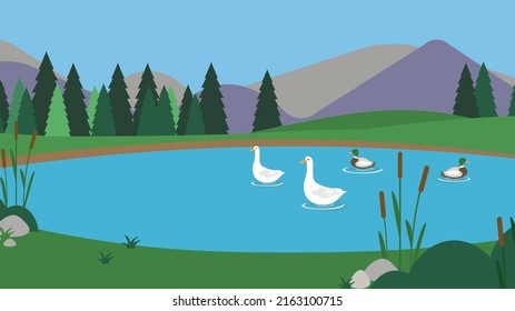 Patos y gansos en el lago