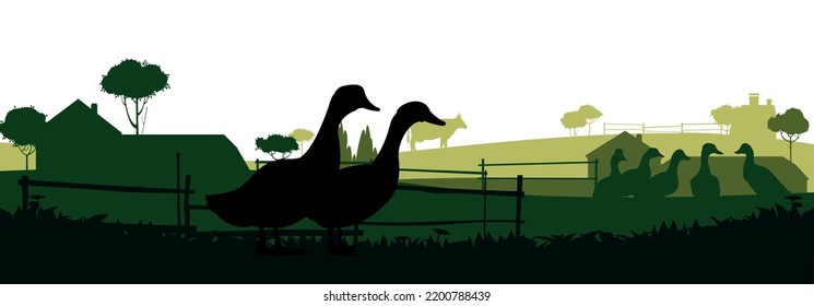 Ducks graze in pasture. Picture silhouette. Farm pets. Domestic poultry. Rural landscape with farmer house. Isolated on white background. Vector