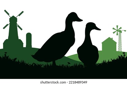 Ducks graze in pasture. Picture silhouette. Farm pets. Domestic poultry. Rural landscape with farmer house. Isolated on white background. Vector.