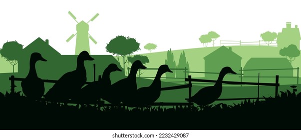 Ducks graze in pasture. Picture silhouette. Farm pets. Domestic poultry. Rural landscape with farmer house. Isolated on white background. Vector.