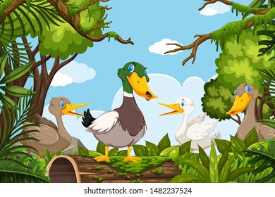 Ducks in jungle scene illustration