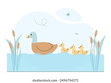 Patos en el lago. Aves nadando en el agua cerca de cañas y nenúfares. Manada de madres e hijos. Fauna silvestre. Lago tranquilo de primavera. Ilustración vectorial lineal aislada sobre fondo blanco