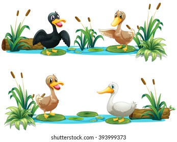 Ducks living in the pond illustration