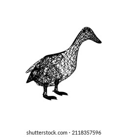 ducks looking for food. simple vector duck.