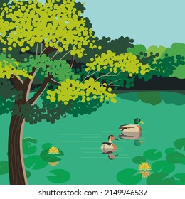 Ducks on pond in Summer urban garden vector poster. City public park background. Green tree, water plants, natural park lake zone landscape. Hand drawn town cozy rest place flat color illustration