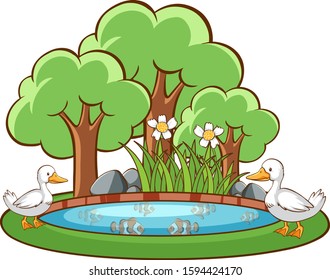 Enten im Teich auf weißem Hintergrund