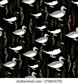 Ducks with reeds pattern on a black background. Pattern for textiles, baby clothes, bathroom