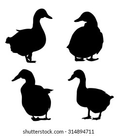 Ducks Silhouette Set Stock Vector (Royalty Free) 314894711 | Shutterstock