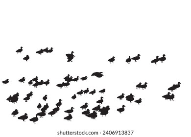 Ducks standing on the ground. Vector images. White background.
