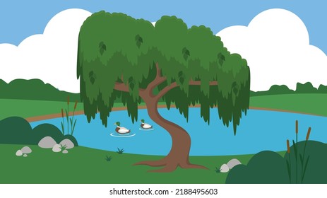 ducks swim in the lake