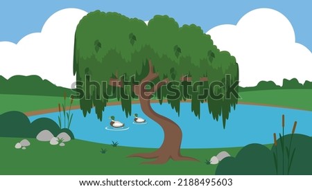 ducks swim in the lake