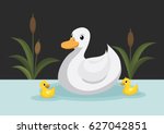 Ducks swim in the pond.