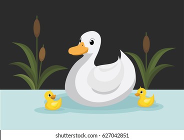 Ducks swim in the pond.