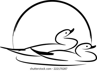ducks swimming