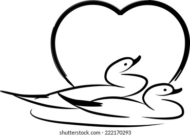 ducks swimming