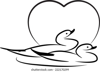 ducks swimming