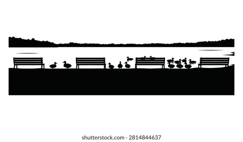 Ducks swimming in pond with multiple benches on bank in calm nature landscape for beautiful scenic park background silhouette.