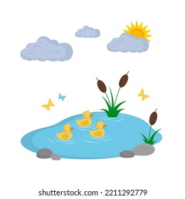 Ducks swimming in the pond. Three yellow duckings in the pond with reeds. Clouds, sun, butterflies. Duck cartoon character. Nature landscape. Flat style. Vector illustration