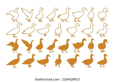 Vektor-Symbolvorlage für Enten