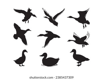 Vector de patas para impresión, Cornhole clipart, ilustración vectorial Cornhole
