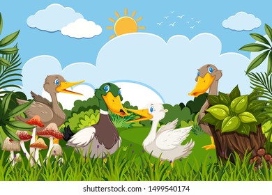 Ducks in woods scene illustration