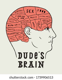 Dude's brain. Vintage brain scheme illustration. Young man is thinking about funny and stupid things. Mental health vector illustration.