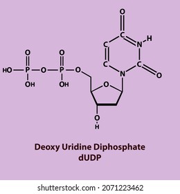 dUDP - Deoxyuridine diphosphate Biomolecule strcuture on color background