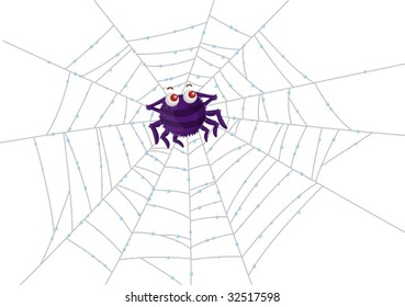 Due drop covered spider's web with spider