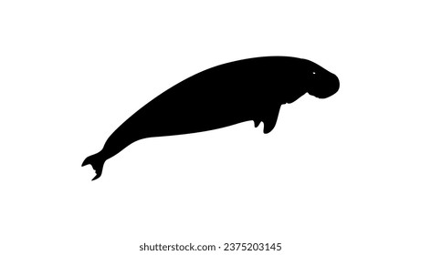 Dugong black isolated silhouette, high quality vector