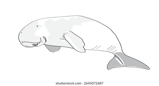 Dugong cartoon vector design. Manatee drawing for pattern, wallpaper, kids fashion, textile, textbook.