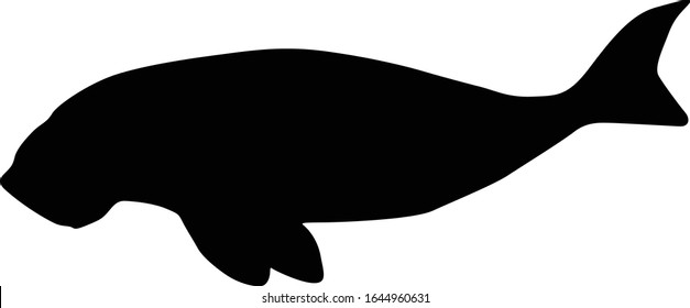 Dugong (Dugon Dugon) Silhouette Vector Found In Indonesia And Australia svg