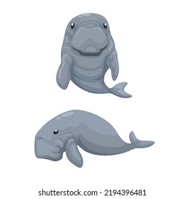 Dugong marine mammal animal set illustration vector