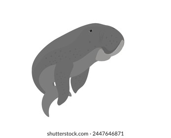 Dugong on a white background.