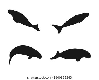 Dugong silhouette icon. Silhouettes of Dugongs in Various Positions. Dugong Vector Illustration. Manatee black silhouette vector illustration.